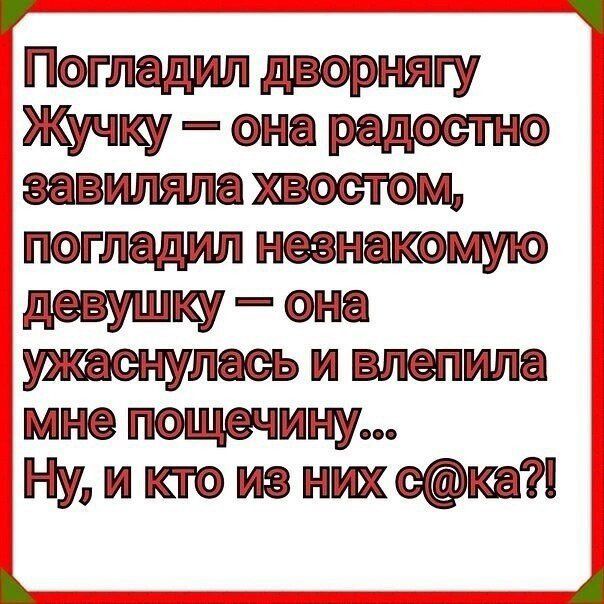 ПОГЛЕдИПдВОРЯУ Жучку она радостно завиляла хвостом погледил незнекомую девушку она ужаснулесь и влепила мне пощечину Ну и кто из них ска 1