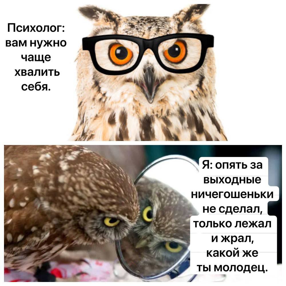 Психолог вам нужно чаще хвалить себя Я опять за выходные ничегошеньки не сделал только лежал ижрал какой же ты молодец у