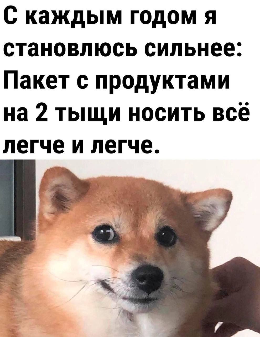 С каждым годом я становлюсь сильнее Пакет с продуктами на 2 тыщи носить всё легче и легче 3