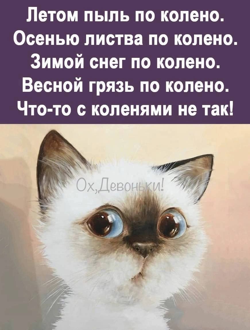 Летом пыль по колено Осенью листва по колено Зимой снег по колено Весной грязь по колено Что то с коленями не так