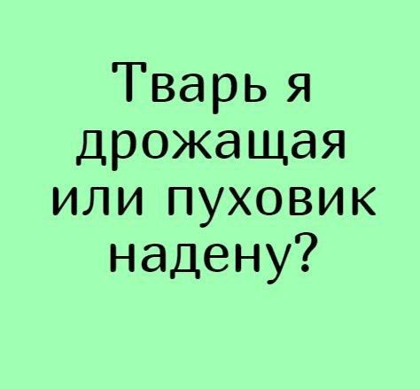 Тварь я дрожащая или пуховик надену