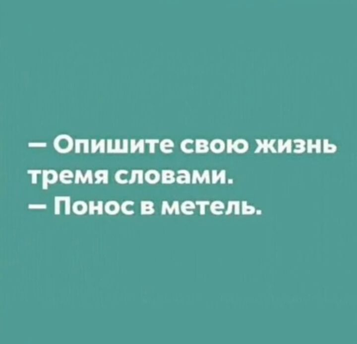 Опишите свою жизнь тремя словами Понос в метель