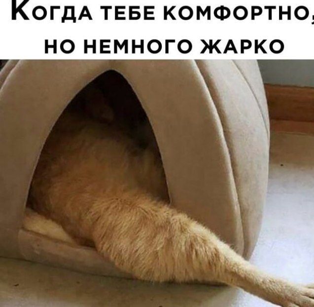 ОГДА ТЕБЕ КОМФОРТНО НО НЕМНОГО ЖАРКО