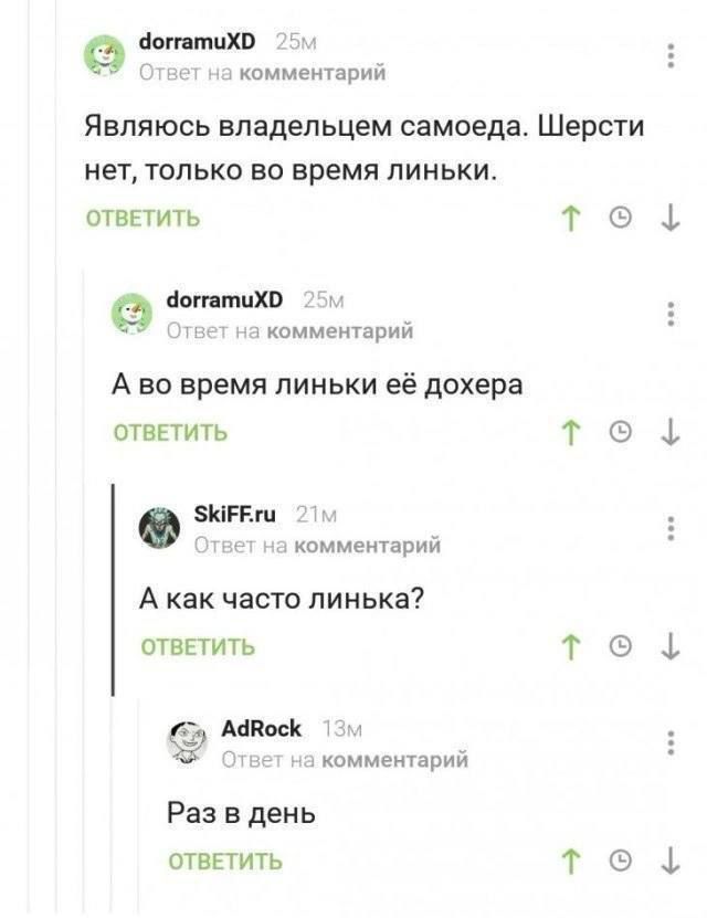 ЧогтатиХО з комментарий Являюсь владельцем самоеда Шерсти нет только во время линьки ОТВЕТИТЬ зет на комментарий Аво время линьки её дохера ОТВЕТИТЬ зиггш твет на комментарий А как часто линька ОТВЕТИТЬ АйВосК л з комментарий Раз в день ОТВЕТИТЬ т т у