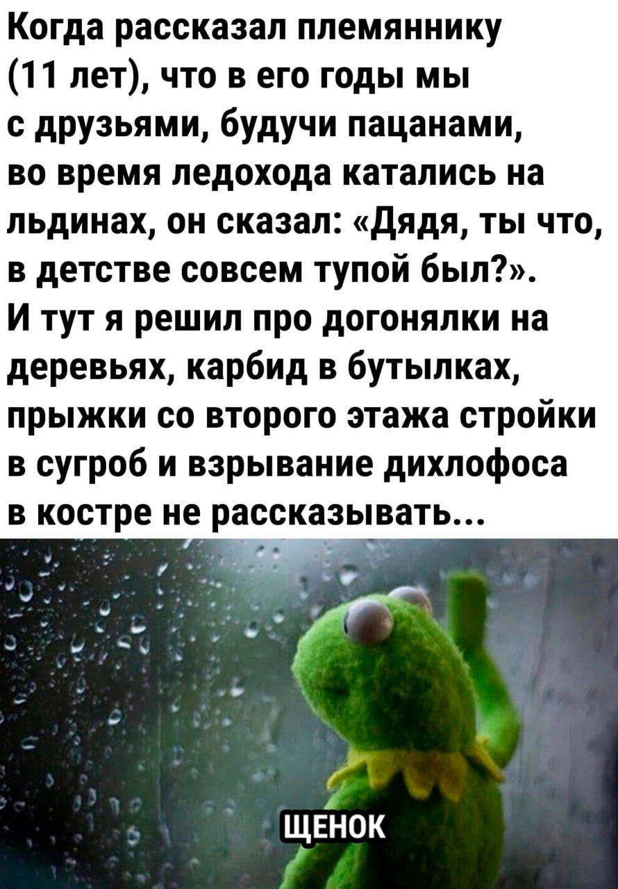 Когда рассказал племяннику 11 лет что в его годы мы с друзьями будучи пацанами во время ледохода катались на льдинах он сказал Дядя ты что в детстве совсем тупой был Итут я решил про догонялки на деревьях карбид в бутылках прыжки со второго этажа стройки в сугроб и взрывание дихлофоса в костре не рассказывать