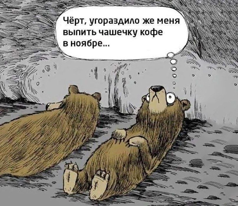 выпить чашечку кофе в ноябре