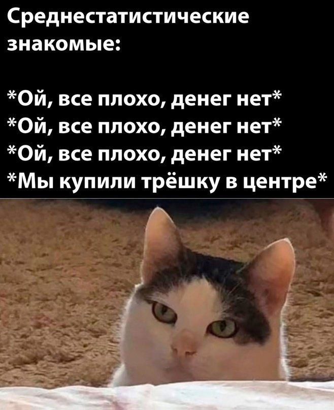 Среднестатистические знакомые Ой все плохо денег нет Ой все плохо денег нет Ой все плохо денег нет Мы купили трёшку в центре Рч у х