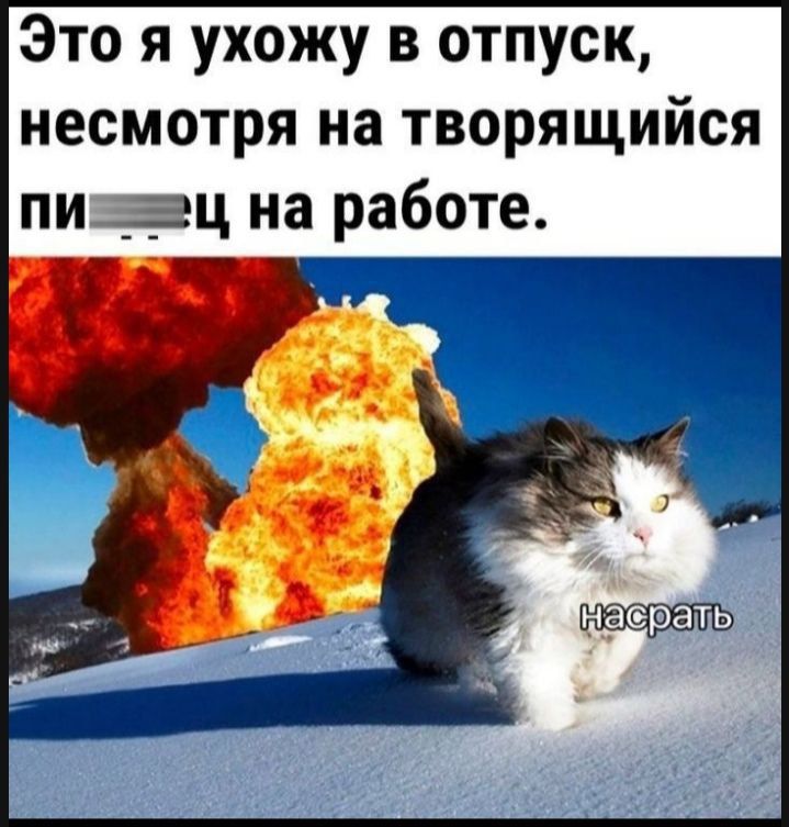 Это я ухожу в отпуск несмотря на творящийся пиввац на работе а рать