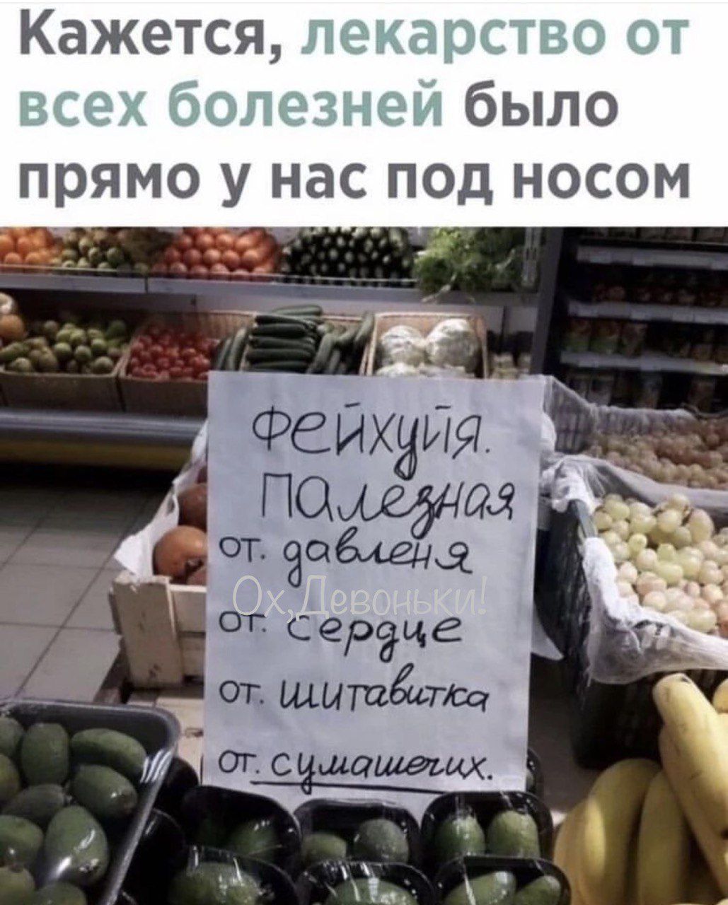 Кажется было прямо у нас под носом 25 Фейхзия П от серце от ШИТавстеа