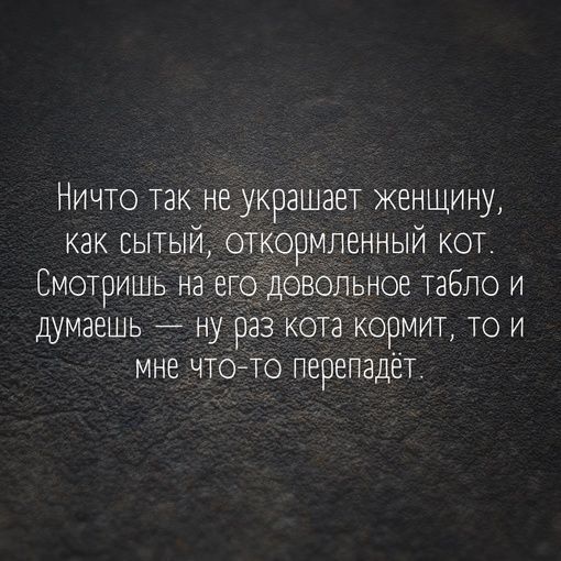 Ничто так не украшает женщину как сыТЫЙ откормленный КОТ Смотришь на его довольное табло и думаешь ну раз кота кормит то и мне что то перепадёт