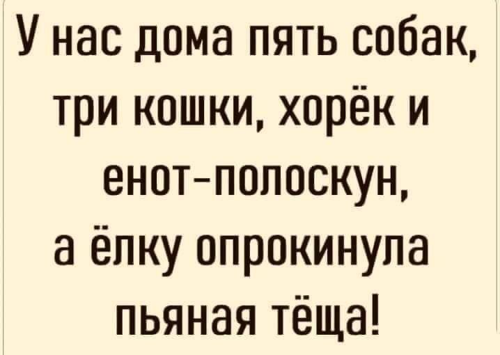 У нас дома пять собак три кошки хорёк и енот полоскун а ёлку опрокинула пьяная тёща