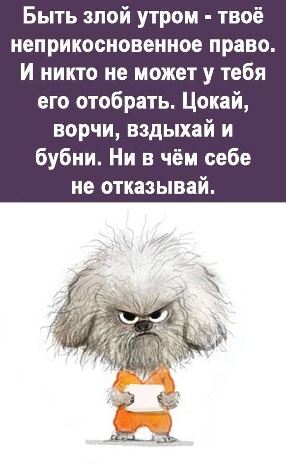 Быть злой утром твоё неприкосновенное право И никто не может у тебя его отобрать Цокай ворчи вздыхай и бубни Ни в чём себе не отказывай