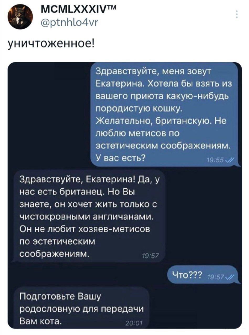 в МСМхХхМтМ рпНо уничтоженное Здравствуйте меня зовут Екатерина Хотела бы взять из вашего приюта какую нибудь породистую кошку Желательно британскую Не люблю метисов по эстетическим соображениям У вас есть Здравствуйте Екатерина Да у нас есть британец Но Вы знаете он хочет жить только с чистокровными англичанами Он не любит хозяев метисов по эстети