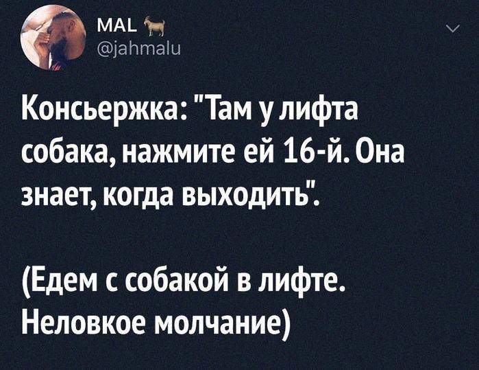 МА мн авта Консьержка Там у лифта собака нажмите ей 16 й Она знает когда выходить Едем с собакой в лифте Неловкое молчание