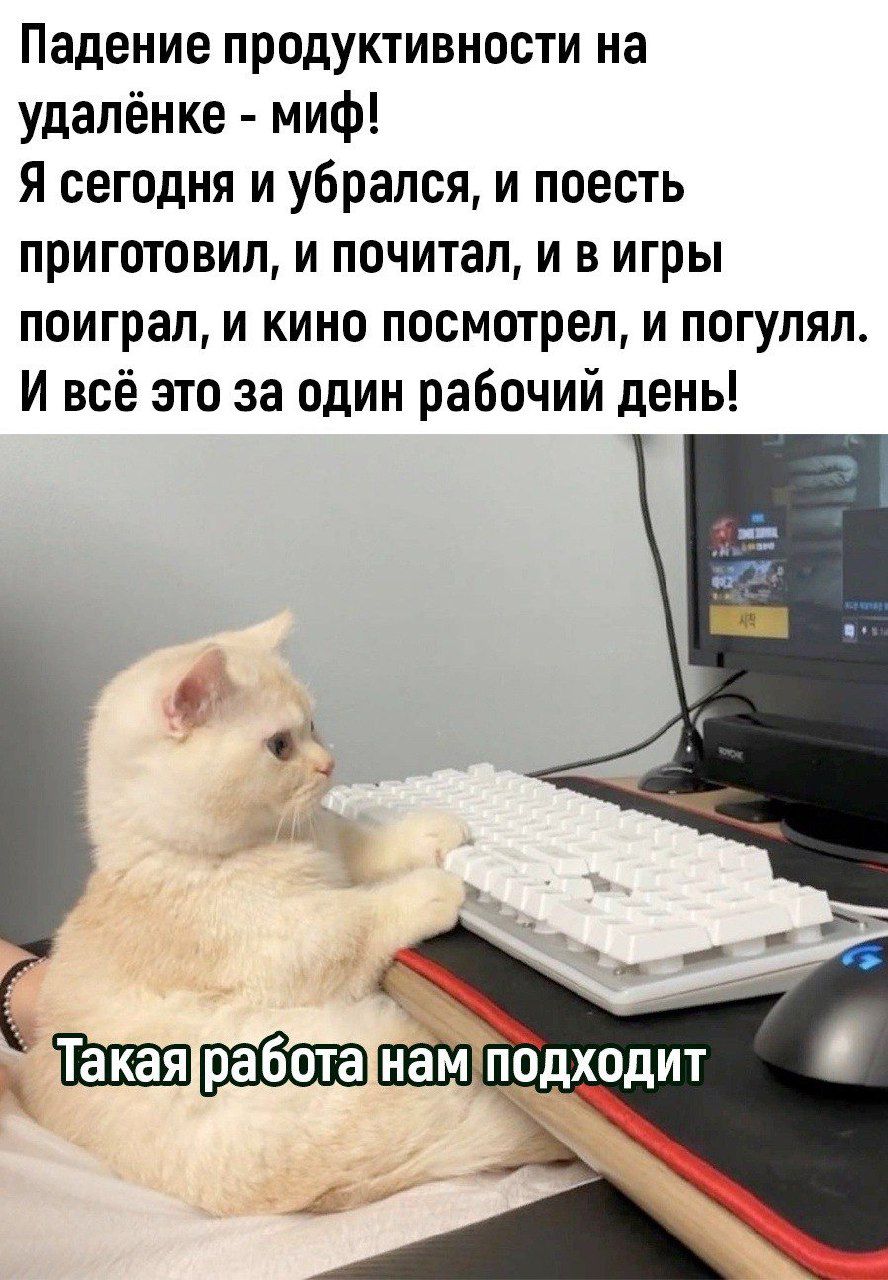 Падение продуктивности на удалёнке миф Я сегодня и убрался и поесть приготовил и почитал и в игры поиграл и кино посмотрел и погулял И всё это за один рабочий день Такаяработатнамподходит