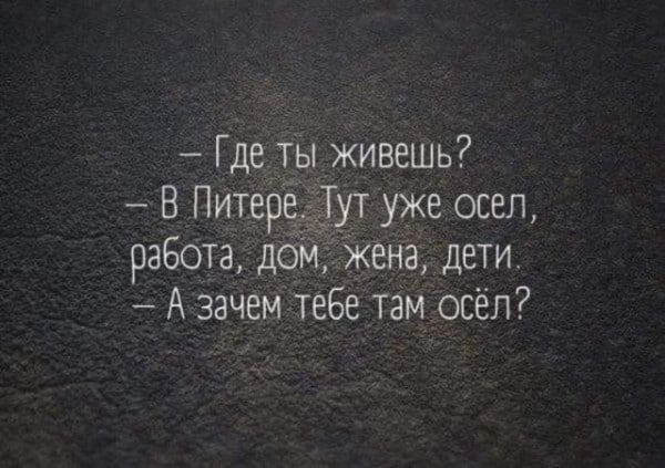 Где ты живешь В Питере Тут уже осел работа дом жёна дети Аззачем тебе там осёл