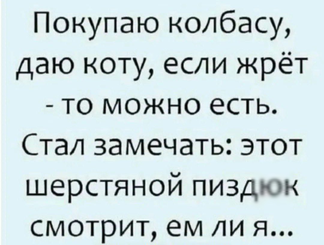 Покупаю колбасу даю коту если жрёт то можно есть Стал замечать этот шерстяной пиздюк смотрит ем ли я