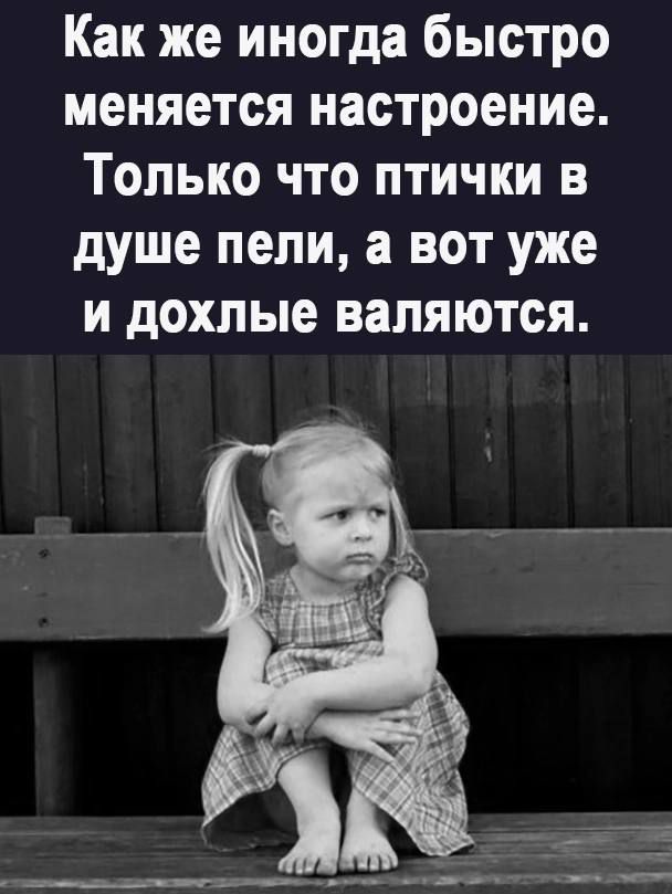 Как же иногда быстро меняется настроение Только что птички в душе пели а вот уже и дохлые валяются