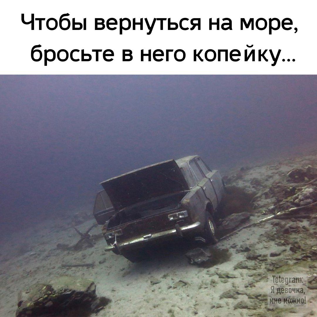 Чтобы вернуться на море бросьте в него копейку