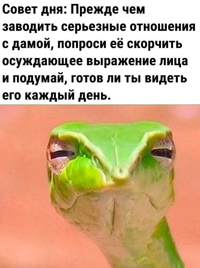 Совет дня: прежде чем заводить серьезные отношения с дамой, попроси её скорчить осуждающее выражение лица и подумай, готов ли ты видеть его каждый день.