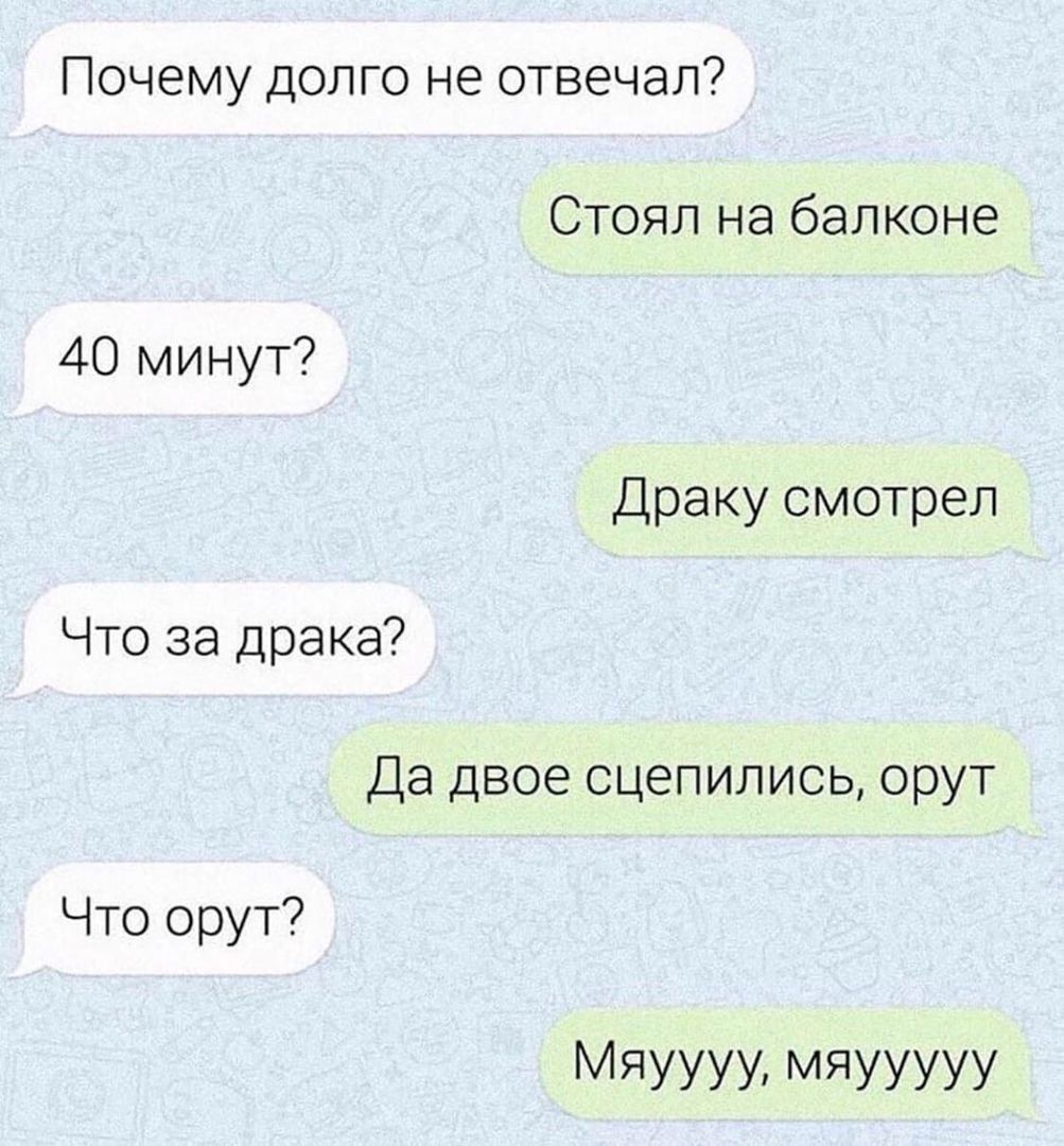 Почему долго не отвечал? Стоял на балконе 40 минут? Драку смотрел что за драка? Да двое сцепились, орут что орут? Мяуууу, мяууууу