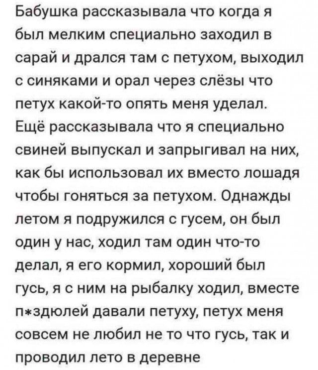 Бабушка рассказывала что когда я был мелким специально заходил в сарай и дрался там с петухом, выходил с синяками и орал через слёзы что петух какой-то опять меня сделал. Ещё рассказывала что я специально свинией выпустил и запрыгивал на них, как бы использовал их вместо лошади чтобы гоняться за петухом. Однажды летом я подружился с гусем, он был один у нас, ходил там один что-то делал, а его кормил, хороший был гусь, я с ним на рыбалку ходил, вместе п*здёй давали петуху, петух меня совсем не любил не то что гусь, так и проводил лето в деревне