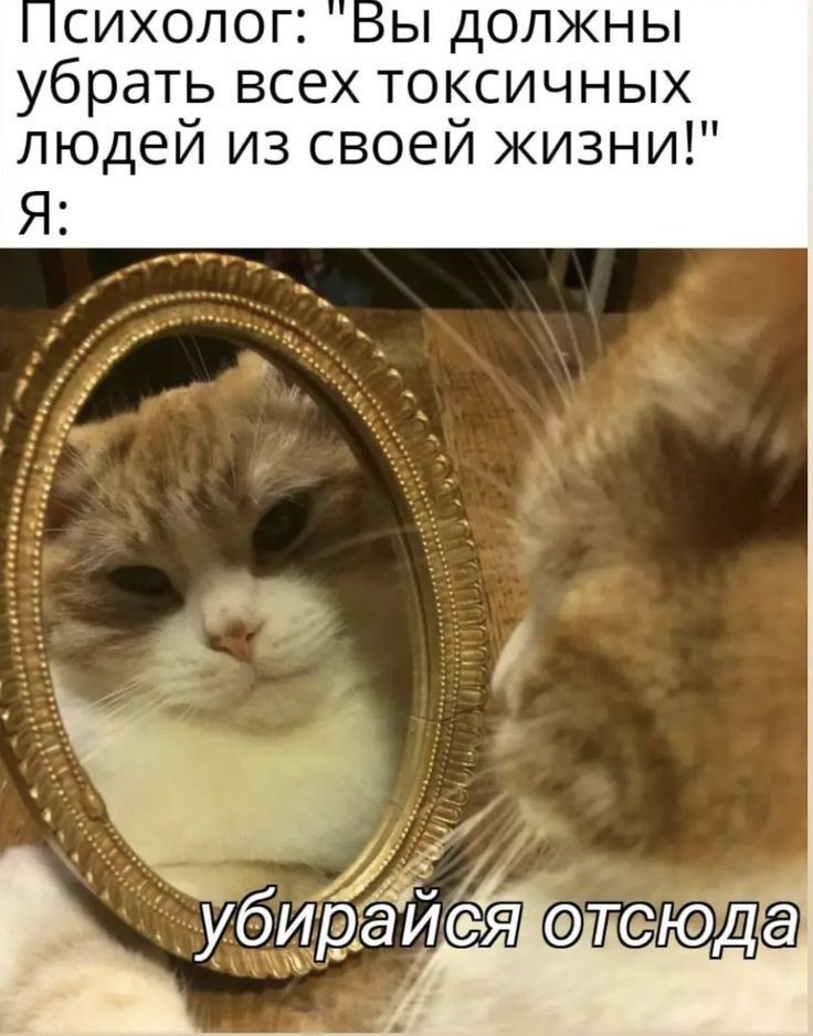 Психолог: 