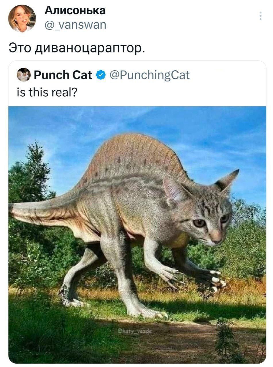 Это диванозавроптор.
Punch Cat @PunchingCat
is this real?
