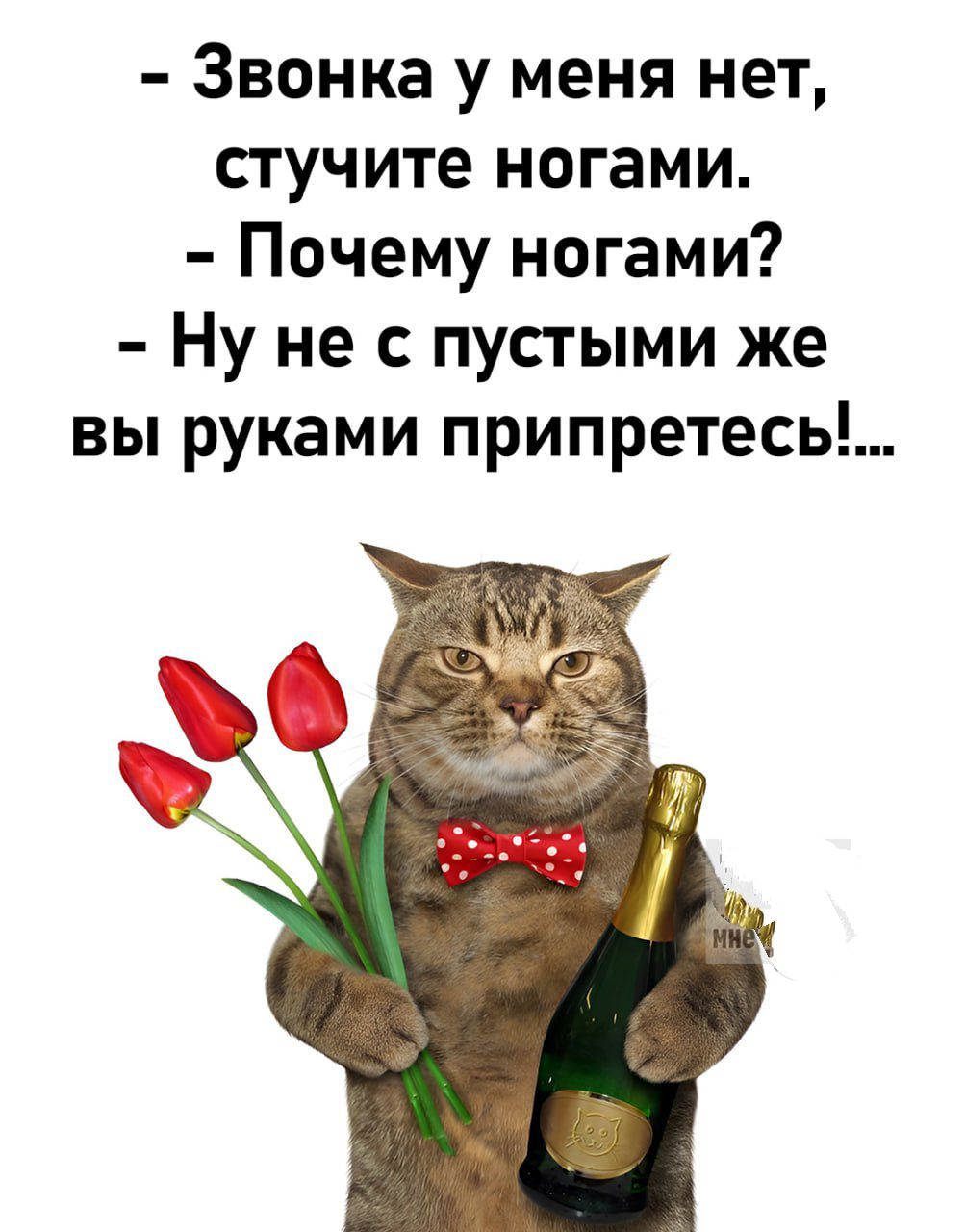 - Звонка у меня нет, стучите ногами.
- Почему ногами?
- Ну не с пустыми же вы руками приплететесь!...