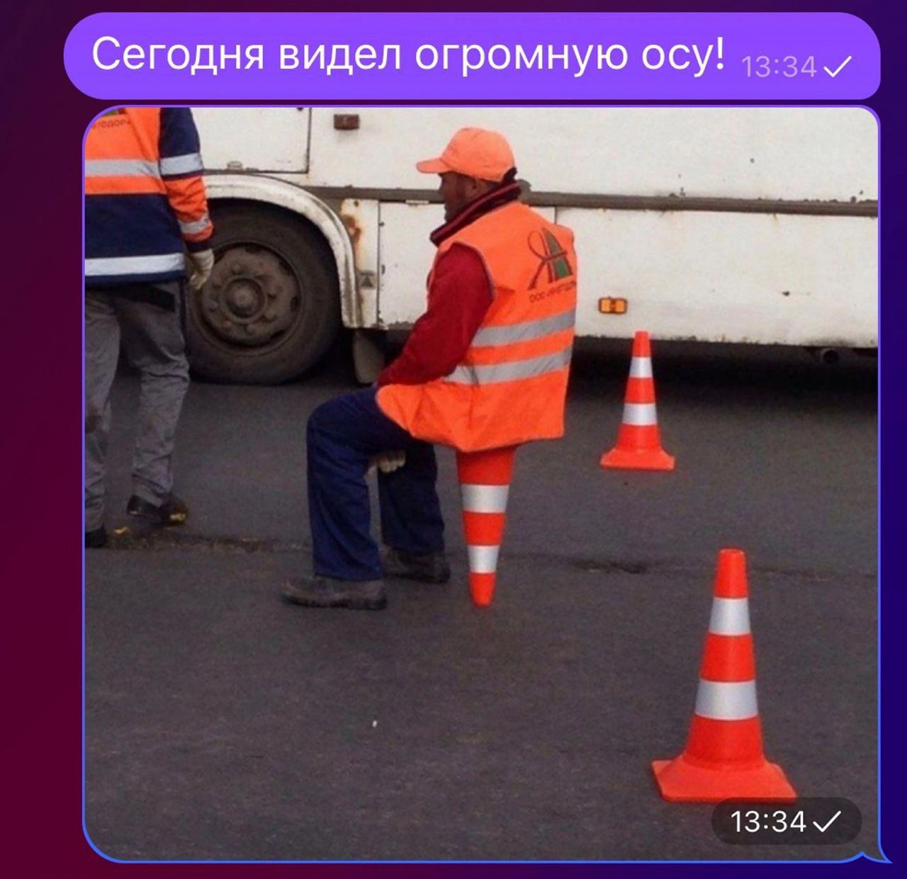 Сегодня видел огромную осу!