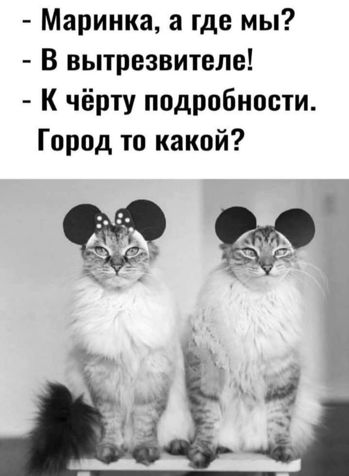 - Маринка, а где мы?
- В вытрезвителе!
- К чёрту подробности. Город то какой?