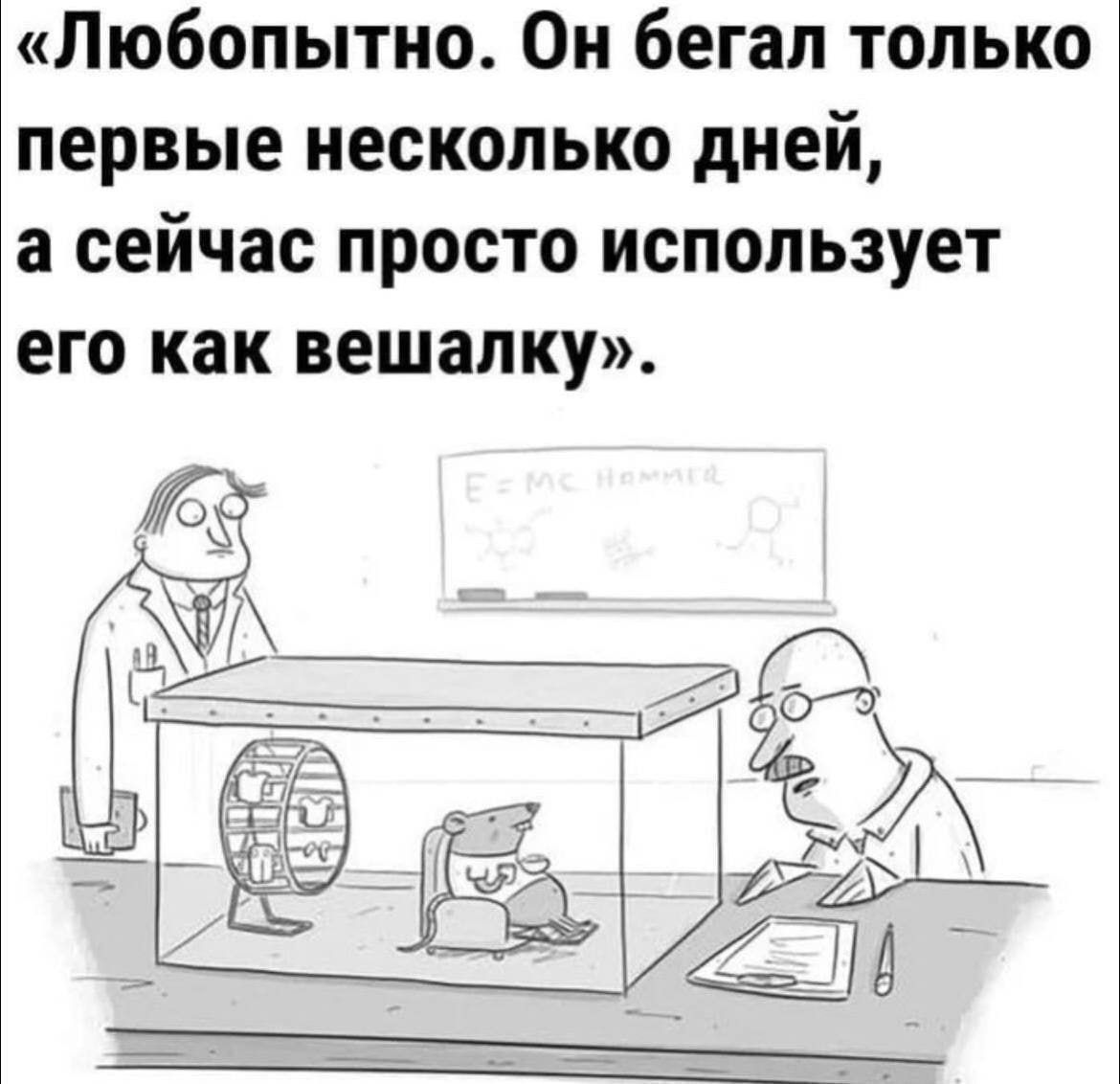 «Любопытно. Он бегал только первые несколько дней, а сейчас просто использует его как вешалку».