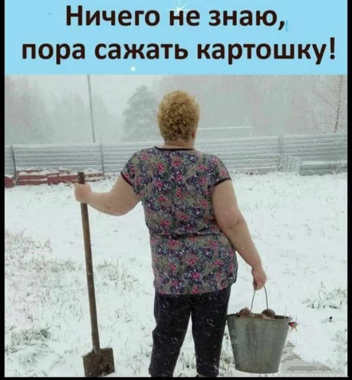 Ничего не знаю, пора сажать картошку!