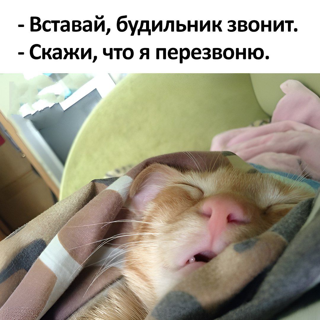 - Вставай, будильник звонит.
- Скажи, что я перезвоню.