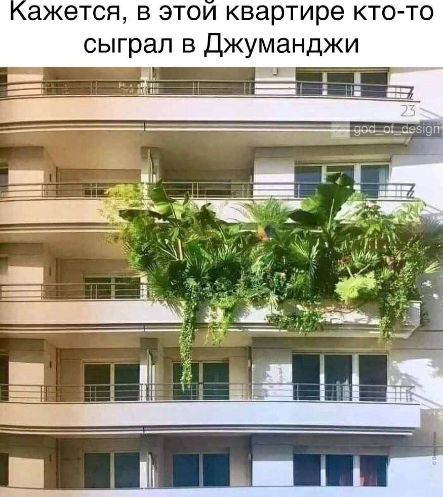 Кажется, в этой квартире кто-то сыграл в Джуманджи