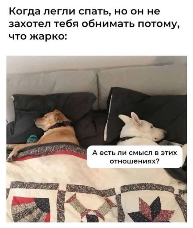 Когда легли спать, но он не захотел тебя обнимать потому, что жарко:
А есть ли смысл в этих отношениях?