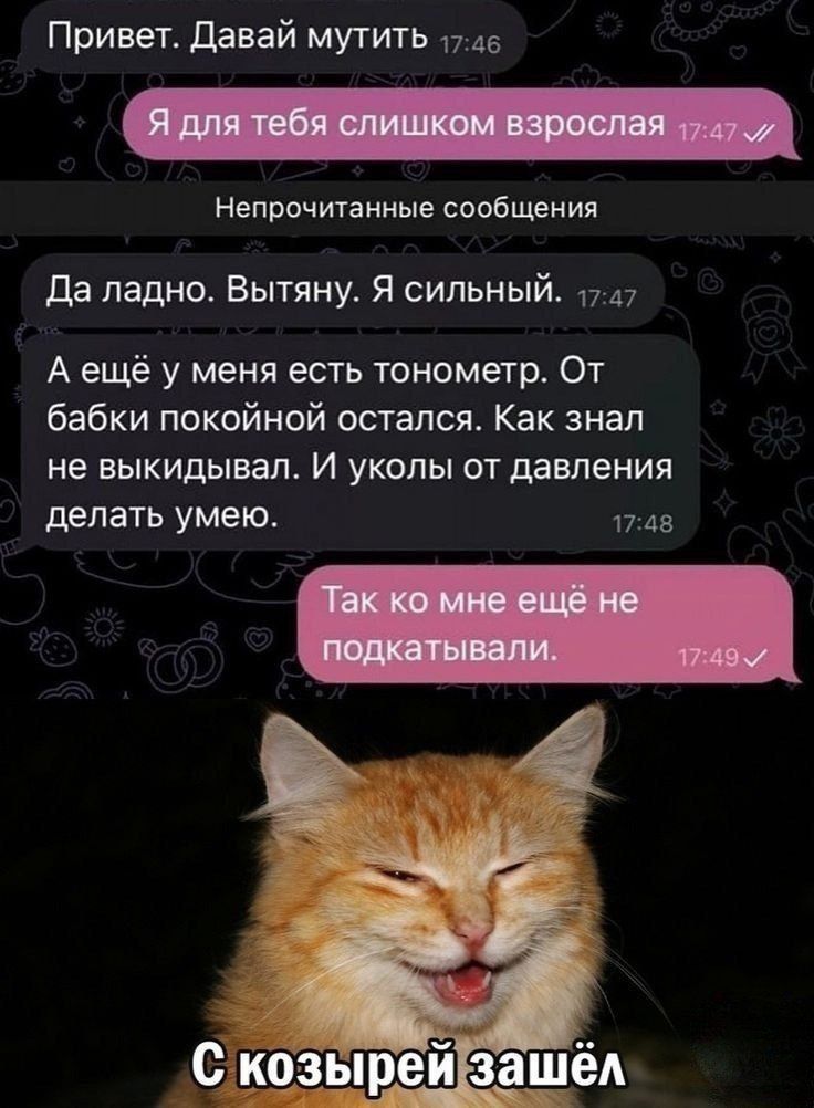 Привет. Давай мутить
Я для тебя слишком взрослая

Да ладно. Вытяну. Я сильный.
А ещё у меня есть тонометр. От бабки покойной остался. Как знал не выкидывал. И уколы от давления делать умею.
Так ко мне ещё не подтыкали.

С козырей зашёл