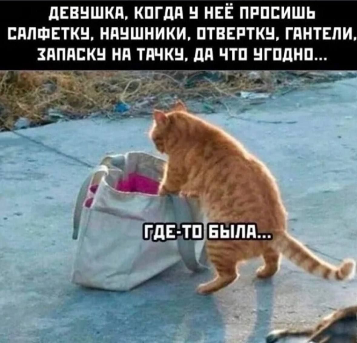 ДЕВУШКА, КОГДА У НЕЁ ПРОСИШЬ САЛФЕТКУ, НАУШНИКИ, ОТВЁРТКУ, ГАНТЕЛИ, ЗАПАСКУ НА ТАЧКУ, ДА ЧТО УГОДНО...
ГДЕ-ТО БЫЛА...