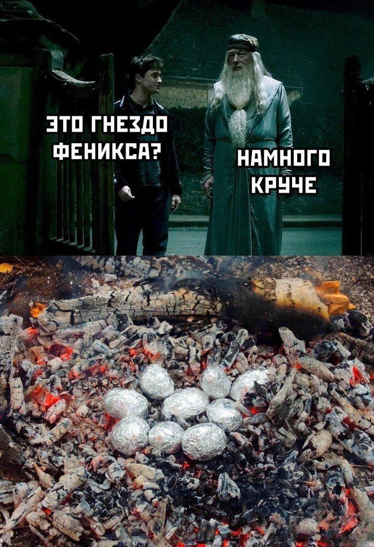 Это гнездо феникса? Намного круче