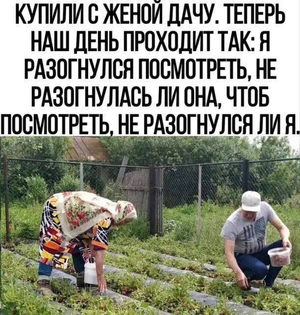 Купили с женой дачу. Теперь наш день проходит так: я разогнулся посмотреть, не разогнулась ли она, чтоб посмотреть, не разогнулся ли я.