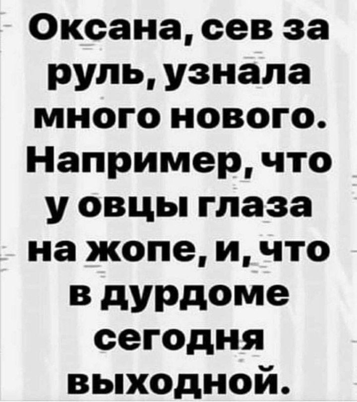 Оксана, себ за руль, узнала много нового. Например, что у овцы глаза на жопе, и, что в дурдоме сегодня выходной.