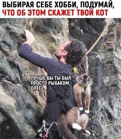 ВЫБИРАЯ СЕБЕ ХОББИ, ПОДУМАЙ, ЧТО ОБ ЭТОМ СКАЖЕТ ТВОЙ КОТ
ЛУЧШЕ БЫ ТЫ БЫЛ ПРОСТО РЫБАКОМ, ОЛЕГ