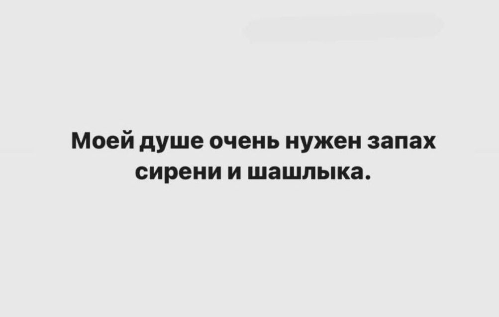 Моей душе очень нужен запах сирени и шашлыка.