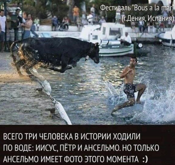 Фестиваль 