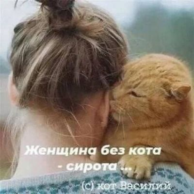 Женщина без кота - сирота... (с) кот Василий