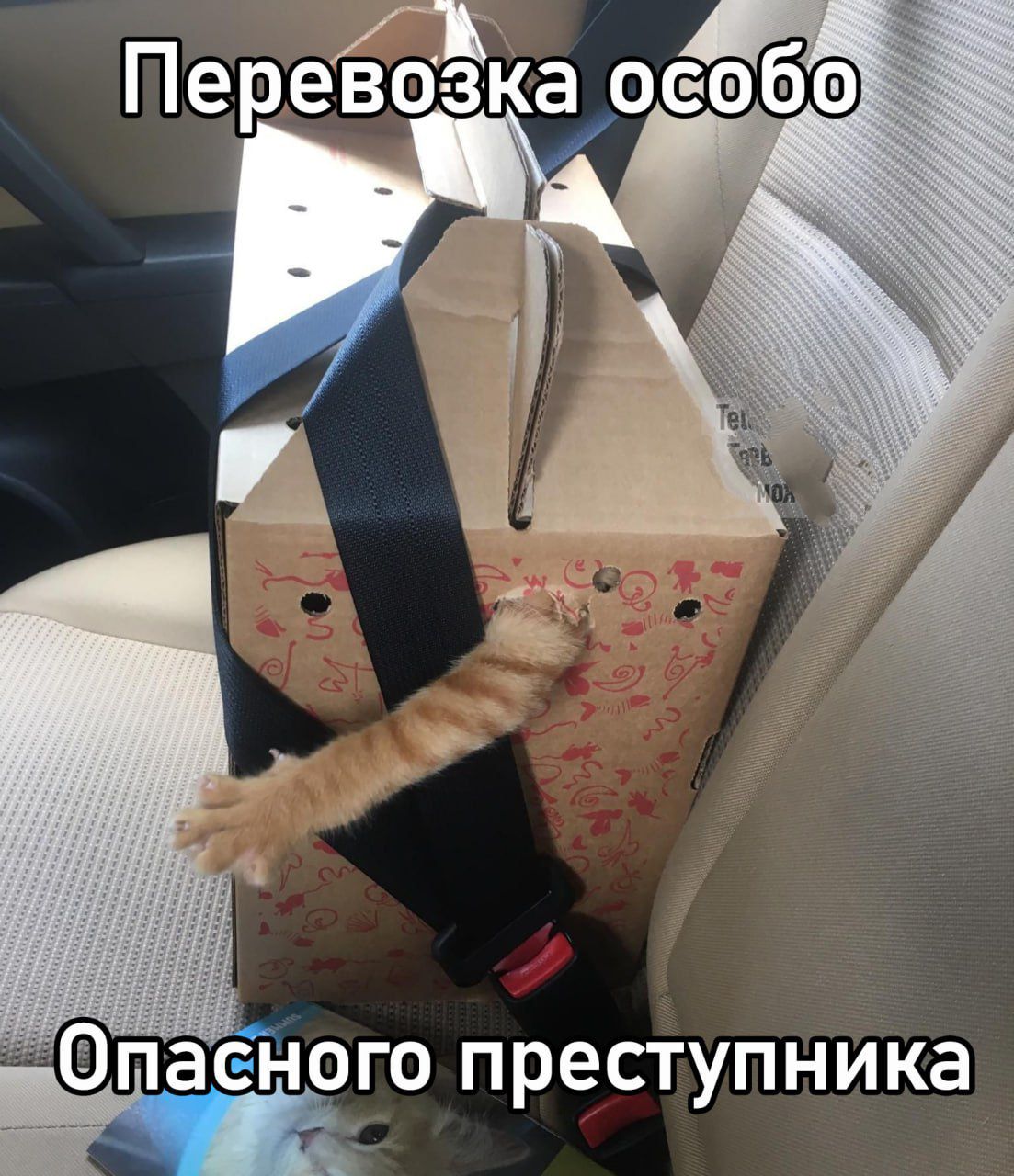 Перевозка особо опасного преступника