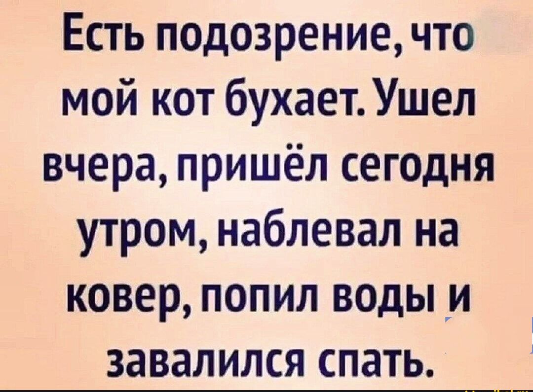 Есть подозрение, что мой кот бухает. Ушел вчера, пришёл сегодня утром, наглядел на ковёр, попил воды и завалился спать.