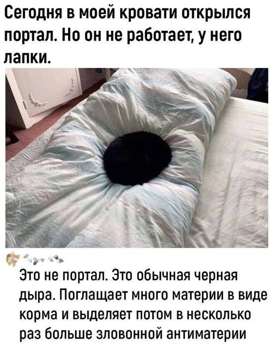 Сегодня в моей кровати открылся портал. Но он не работает, у него лапки.

Это не портал. Это обычная черная дыра. Поглощает много материи в виде корма и выделяет потом в несколько раз больше зловонной антиматерии.