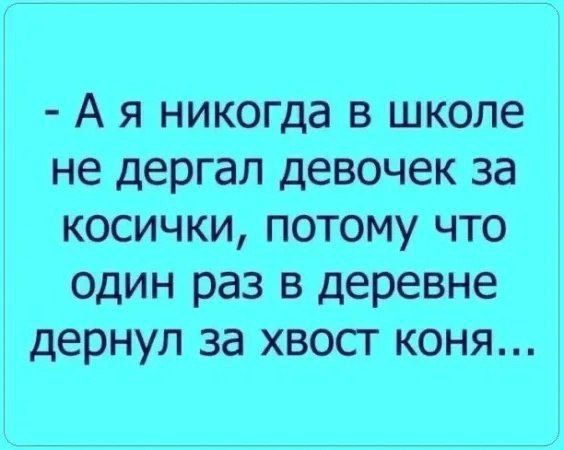 - А я никогда в школе не дергал девочек за косички, потому что один раз в деревне дернул за хвост коня...
