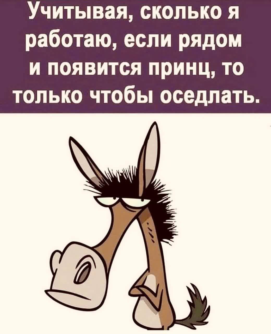 Учитывая, сколько я работаю, если рядом и появится принц, то только чтобы оседлать.